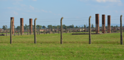 Studienfahrt nach Krakau und Auschwitz