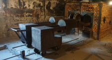 Studienfahrt nach Krakau und Auschwitz